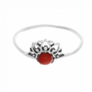 Anillo Fige